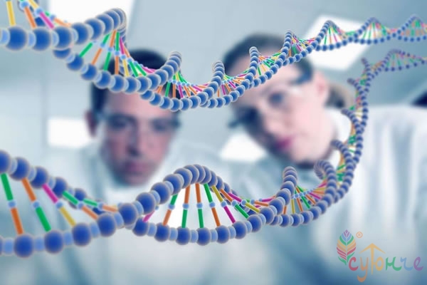  New DNA-genealogy and database paleo-DNA.